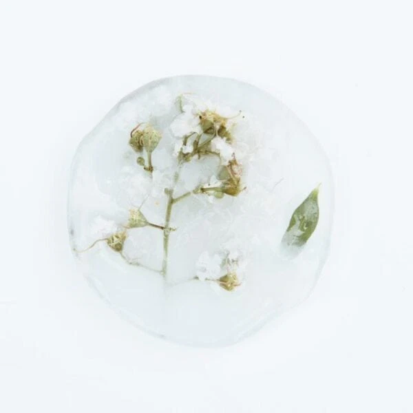 Autoimmune Paleo Diet (AIP Diet Plan)