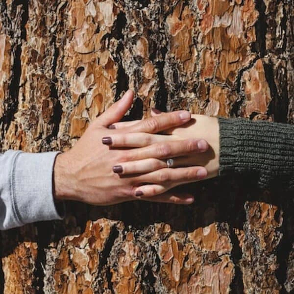 Immune Support Plan in Toronto